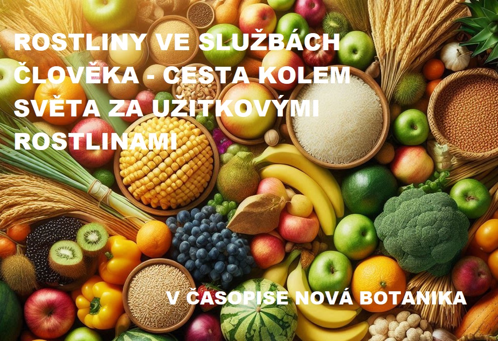rostliny ve službách člověka